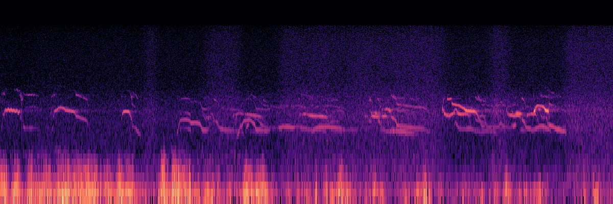 Spectrogram: Wolves Howling
